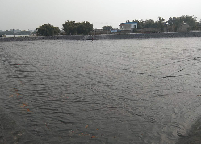 魚(yú)塘土工膜
